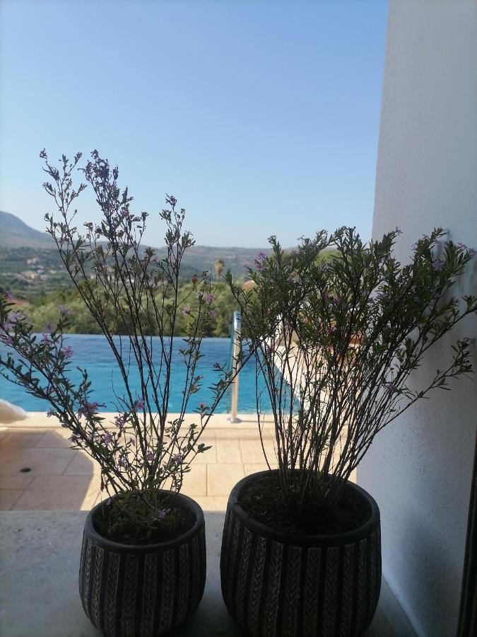 Villa Halepouri خانيا المظهر الخارجي الصورة