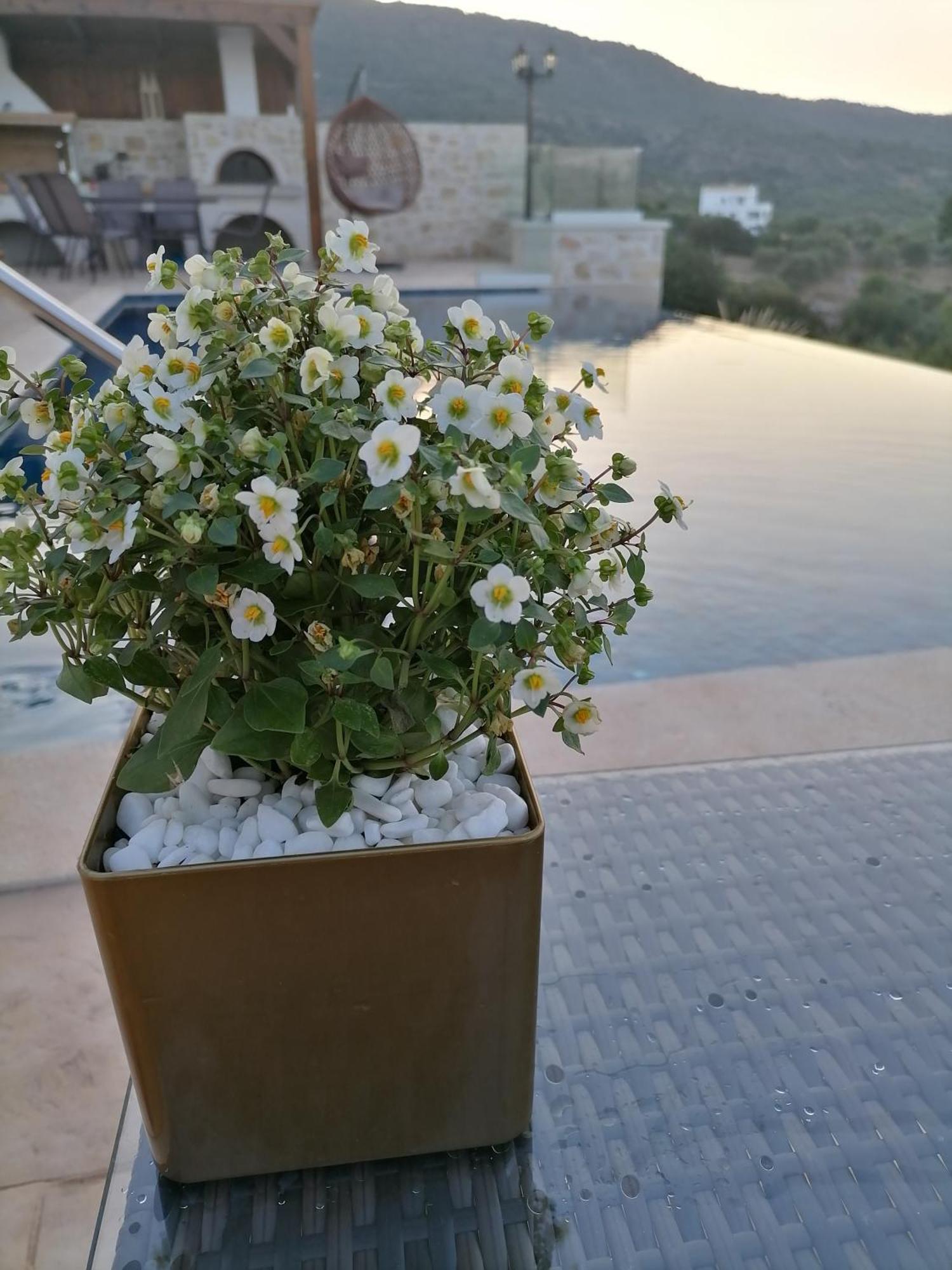 Villa Halepouri خانيا المظهر الخارجي الصورة